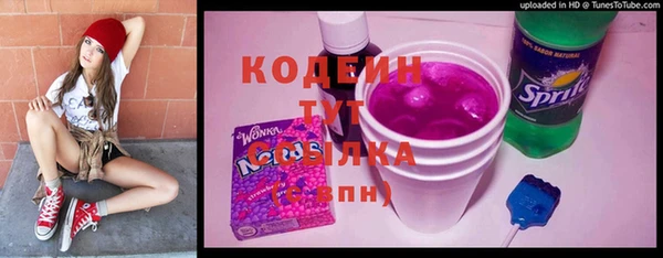 стаф Арсеньев