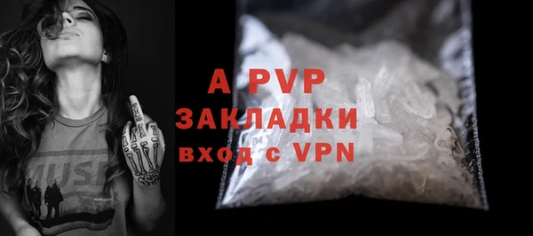 стаф Арсеньев