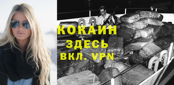 стаф Арсеньев