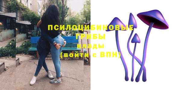 стаф Арсеньев